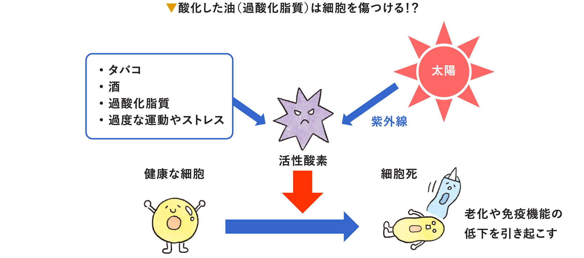 スーパーフード ごまで健康生活 公式 かどや製油株式会社